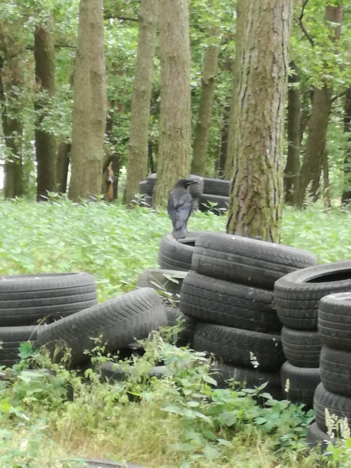 Prace na naszym polu do Paintballu